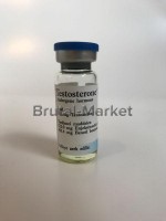 Testosterone E 250 от (Bayer Pharma)